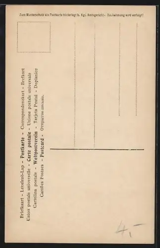 AK Opernsängerin Gerladine Farrar mit Pelzmuff