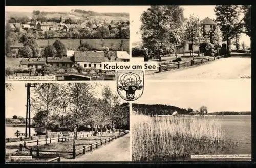 AK Krakow am See, Blick vom Möckelberg, Seehotel, Seepromenade, Jörnberg mit Badestelle und Schilfwiese