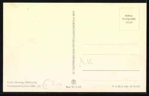 AK Krakow am See, Blick vom Möckelberg, Seehotel, Seepromenade, Jörnberg mit Badestelle und Schilfwiese