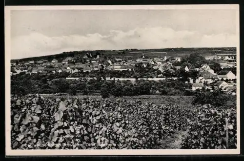 AK Ober-Ingelheim, Weinberge, Panoramaansicht
