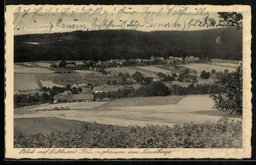 AK Brünnighausen am Nesselberge, Ortsansicht mit umliegenden Feldern gegen den Wald