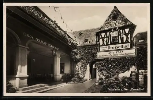 AK Rüdesheim / Rhein, Gaststätte Drosselhof, Inh. H. Frey, Drosselhof Terrasse