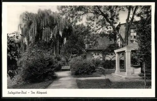 AK Salzgitter-Bad, Partie im Kurpark