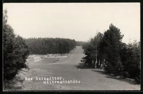 Foto-AK Bad Salzgitter, Heinemannshöhe