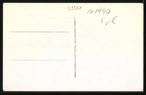 Foto-AK Bad Salzgitter, Heinemannshöhe