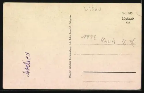 AK Bad Salzgitter, Markt mit Fontäne und Anlagen