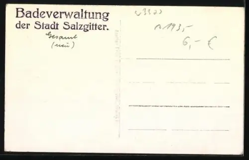 Foto-AK Bad Salzgitter, Ortsansicht aus der Vogelschau