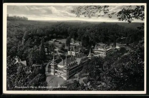 AK Alexisbad i. Harz, Totalansicht von der Höhe