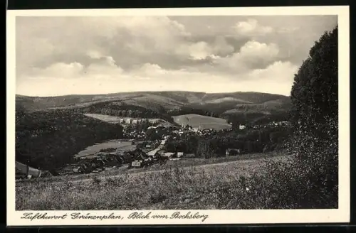 AK Grünenplan, Blick vom Bocksberg auf den Ort und Umgebung