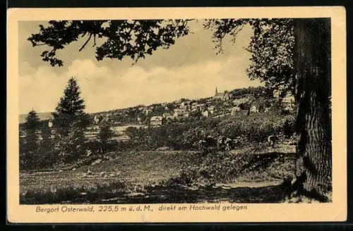 AK Osterwald / Elze, Totalansicht des Ortes