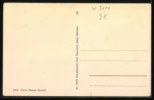 AK Osterwald / Elze, Totalansicht des Ortes