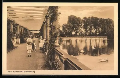 AK Bad Pyrmont, Fürstenweg mit Wasserpartie und Schwänen