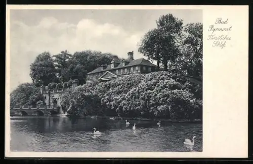 AK Pyrmont, Fürstliches Schloss mit Wasserpartie und Schwänen