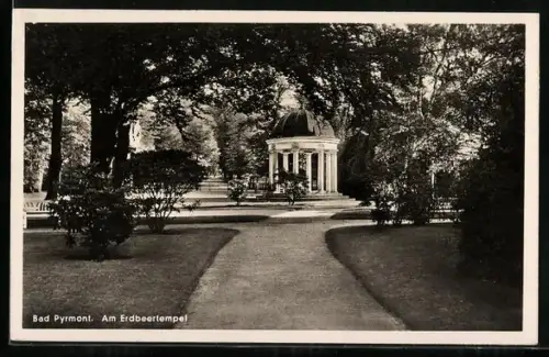 AK Bad Pyrmont, Erdbeertempel mit umgebender Natur