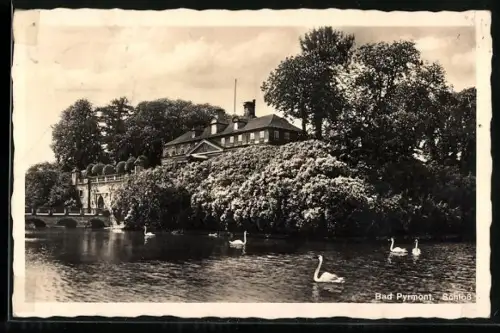 AK Pyrmont, Fürstliches Schloss mit Uferpartie und Schwänen