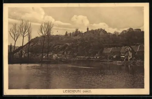 AK Liebenburg / Harz, Panorama
