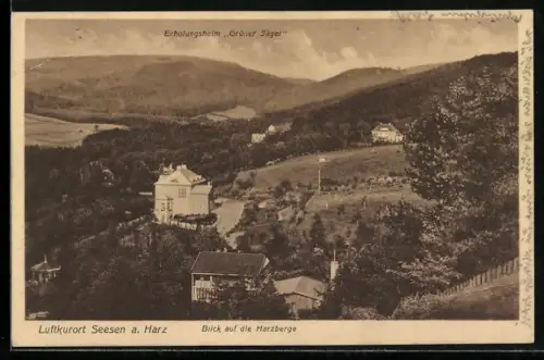 AK Seesen a. Harz, Blick auf die Harzberge mit Erholungsheim Grüner Jäger