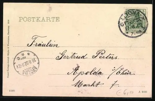 AK Glückstadt, Blick von der Elbburg über den Elbstrom