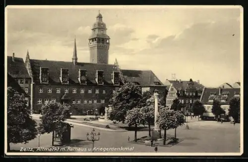 AK Zeitz, Altmarkt, Rathaus, Kriegerdenkmal