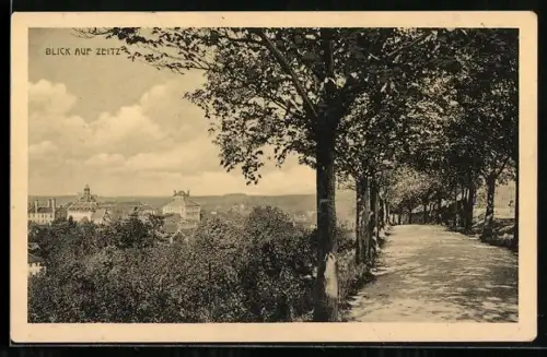 AK Zeitz, Blick auf Stadt und Allee