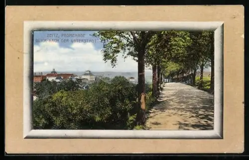 AK Zeitz, Promenade, Blick nach der Unterstadt