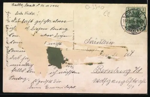 AK Calbe a. S., Totalansicht