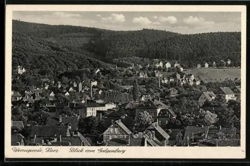 AK Wernigerode /Harz, Blick vom Galgenberg