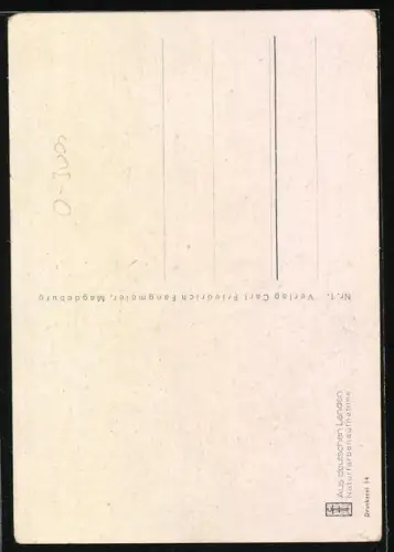 AK Magdeburg, Ansicht vom Dom