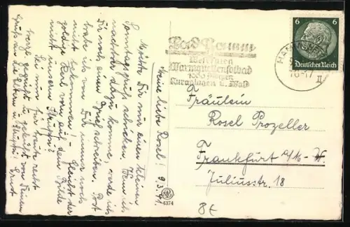 AK Herrchens Stolz, Terrier mit Geschirr