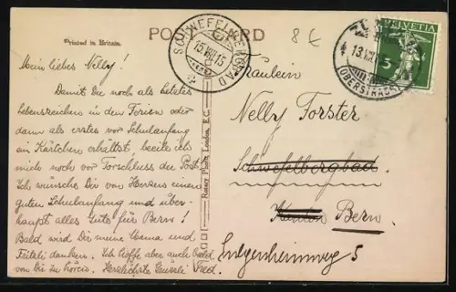 AK Terrier auf einem Felsen