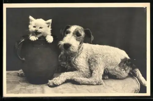 AK Terrier und Katzenbaby in einem Steinkrug