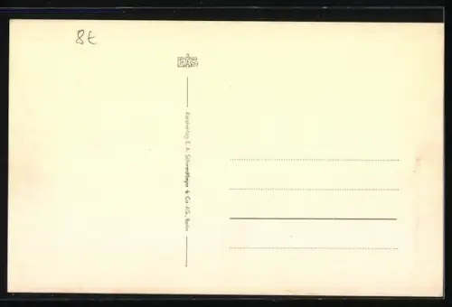 AK Terrier und Katzenbaby in einem Steinkrug