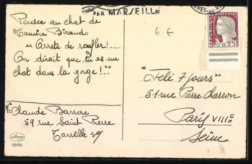 AK Terriermischling mit langen Ohren