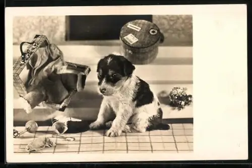 Foto-AK Hundewelpe und Spielzeug