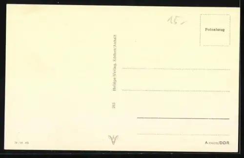 AK Zwei weisse Terrier, Portrait