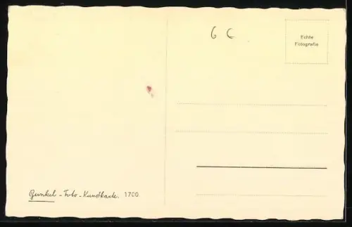 AK Wer spielt mit mir?, Terrier mit Halsband