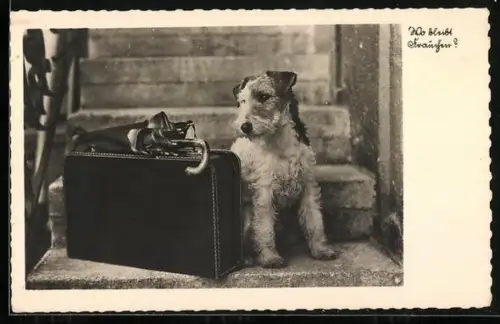AK Wo bleibt Frauchen?, Wartender Terrier mit Koffer und Schirm