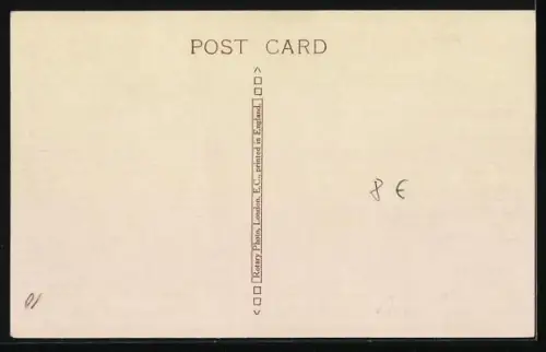 AK Terrier auf einer Felsplatte