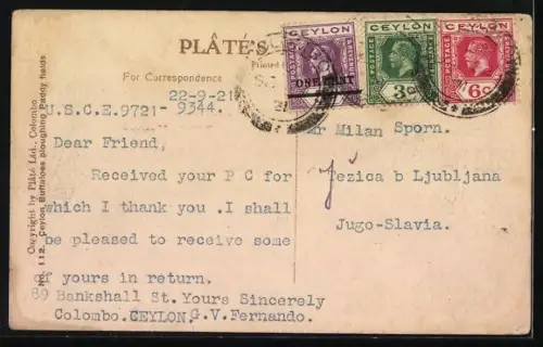 AK Ceylon, Bauer beim Pflügen mit Ochsen-Gespannen