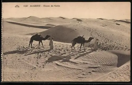 AK Algerie, Dunes de Sable, Kamele