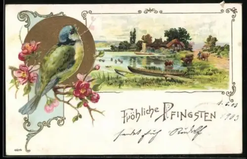 Präge-AK Singende Blaumeise, Wasser-Idylle, Pfingstgruss