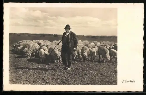 AK Heimkehr, Schafherde und Schäfer
