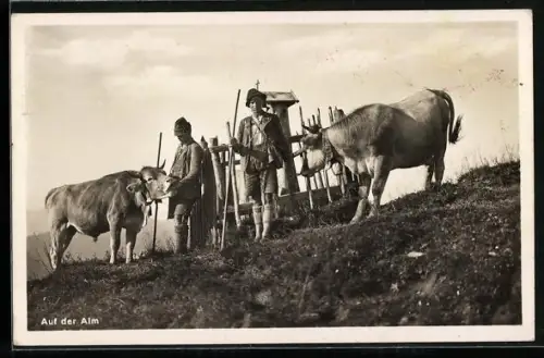 AK Almhirten und Kühe auf der Alm