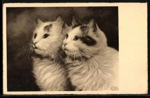 AK Zwei weisse Katzen mit schwarzen Flecken