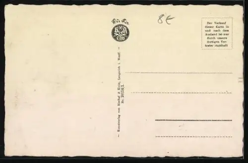 AK Auf der Lauer, Portrait einer Katze