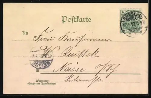 AK Singvögel auf Zweigen, Pfingstgruss