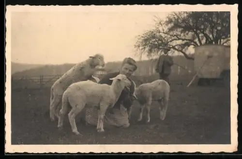 Foto-AK Dame mit Lämmern auf einer Wiese