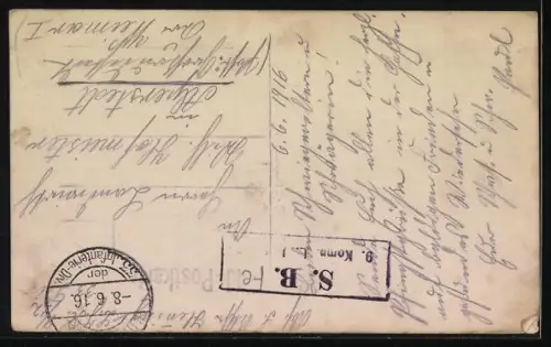 AK Weidende Kühe, Pfingstgruss