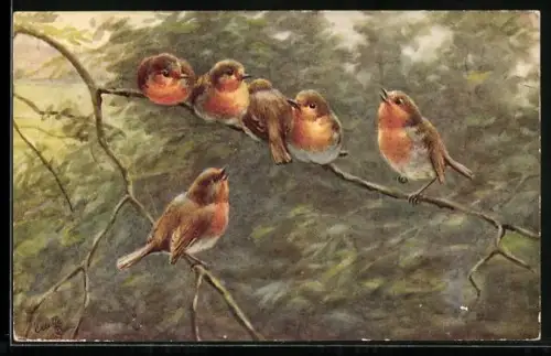 AK Rotkehlchenschar auf den Zweigen eines Baumes