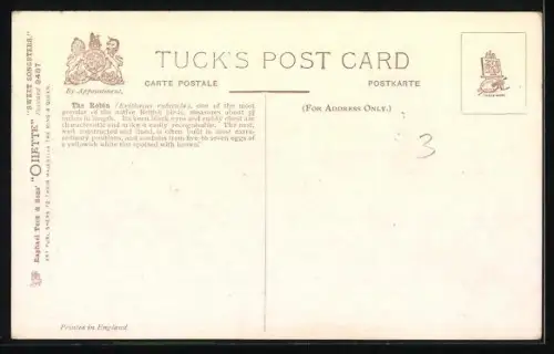 AK Rotkehlchenschar auf den Zweigen eines Baumes